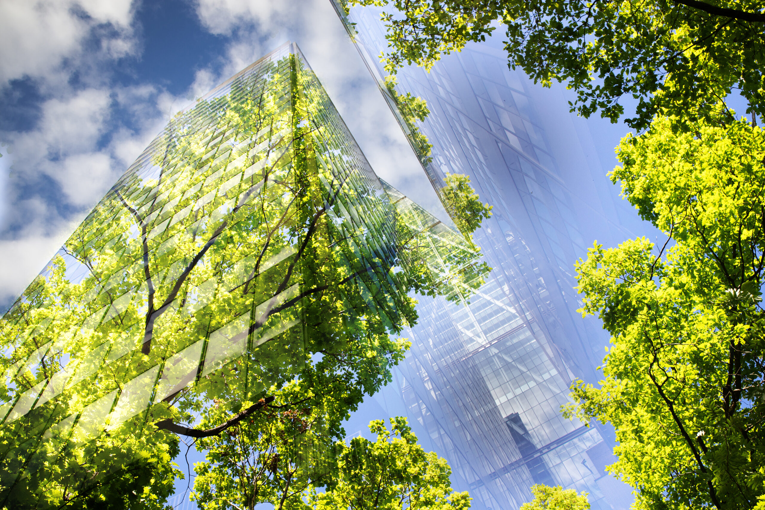 green city - double exposure of lush green forest and modern sky